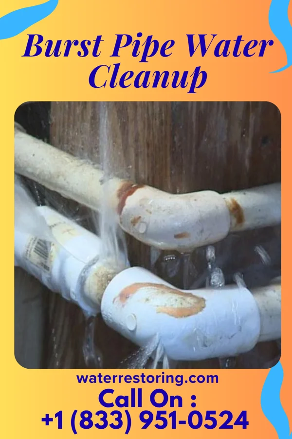 Burst Pipe Water Cleanup in Rochester Hills, MI