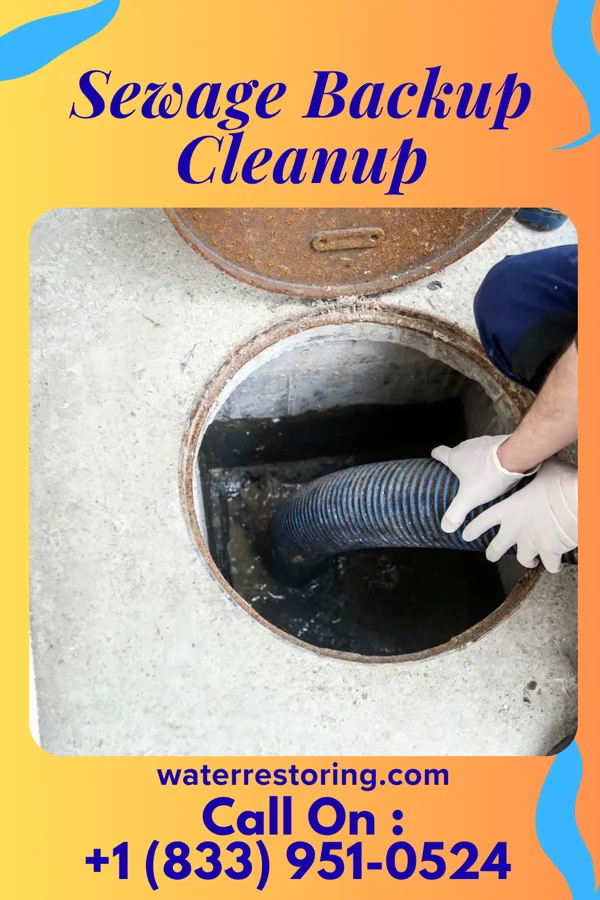 Sewage Backup Cleanup in Rochester Hills, MI