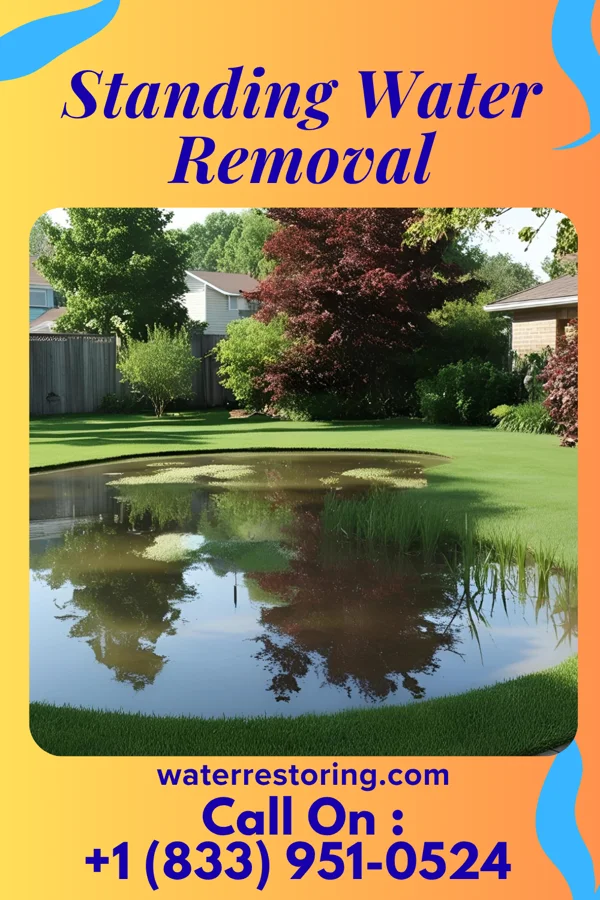 Standing Water Removal in Rochester Hills, MI